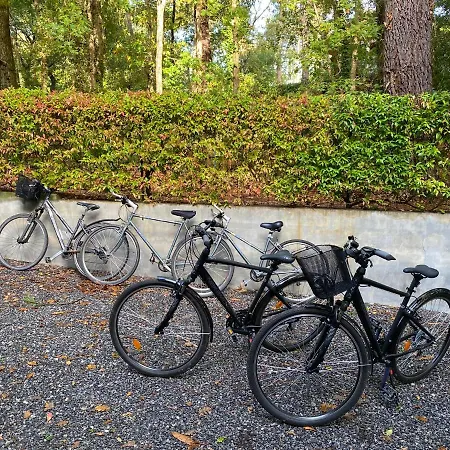 Biscalodge Willa Biscarrosse